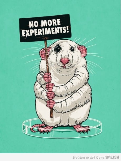 No more Experiments!