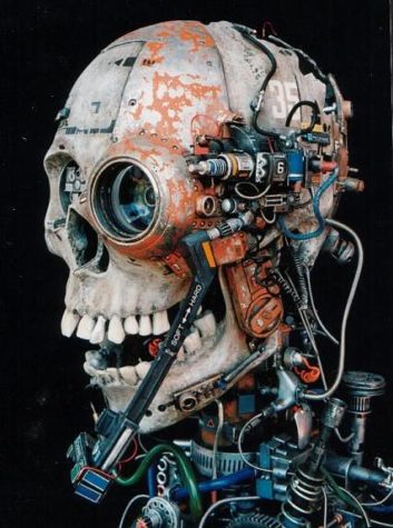Armored Cyborg Skull